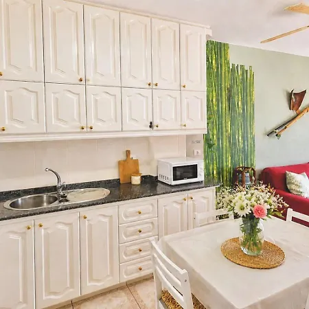 Apartman Agaete Park Tropical Style Playa del Inglés